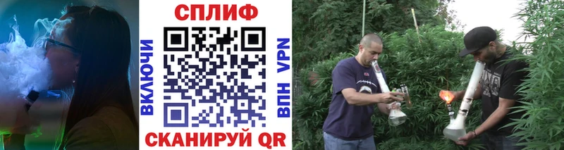 купить наркоту  Николаевск  omg маркетплейс  darknet состав  Каннабис план 
